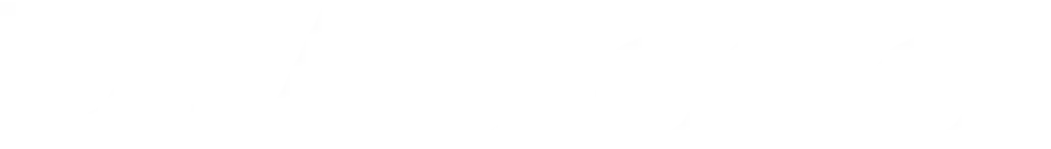 Microstor Pro